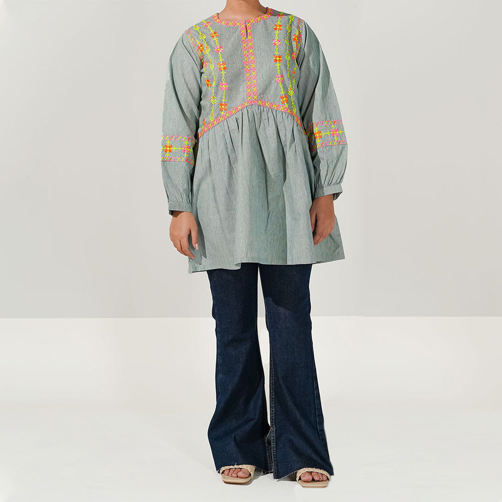 1PC-Embroidered Karandi Shirt PW3000